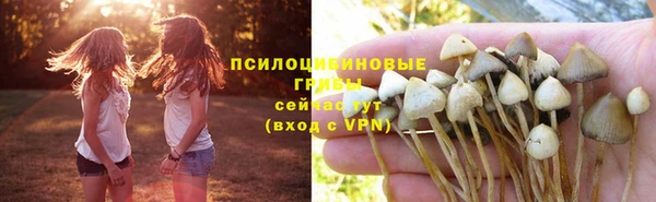apvp Алексеевка